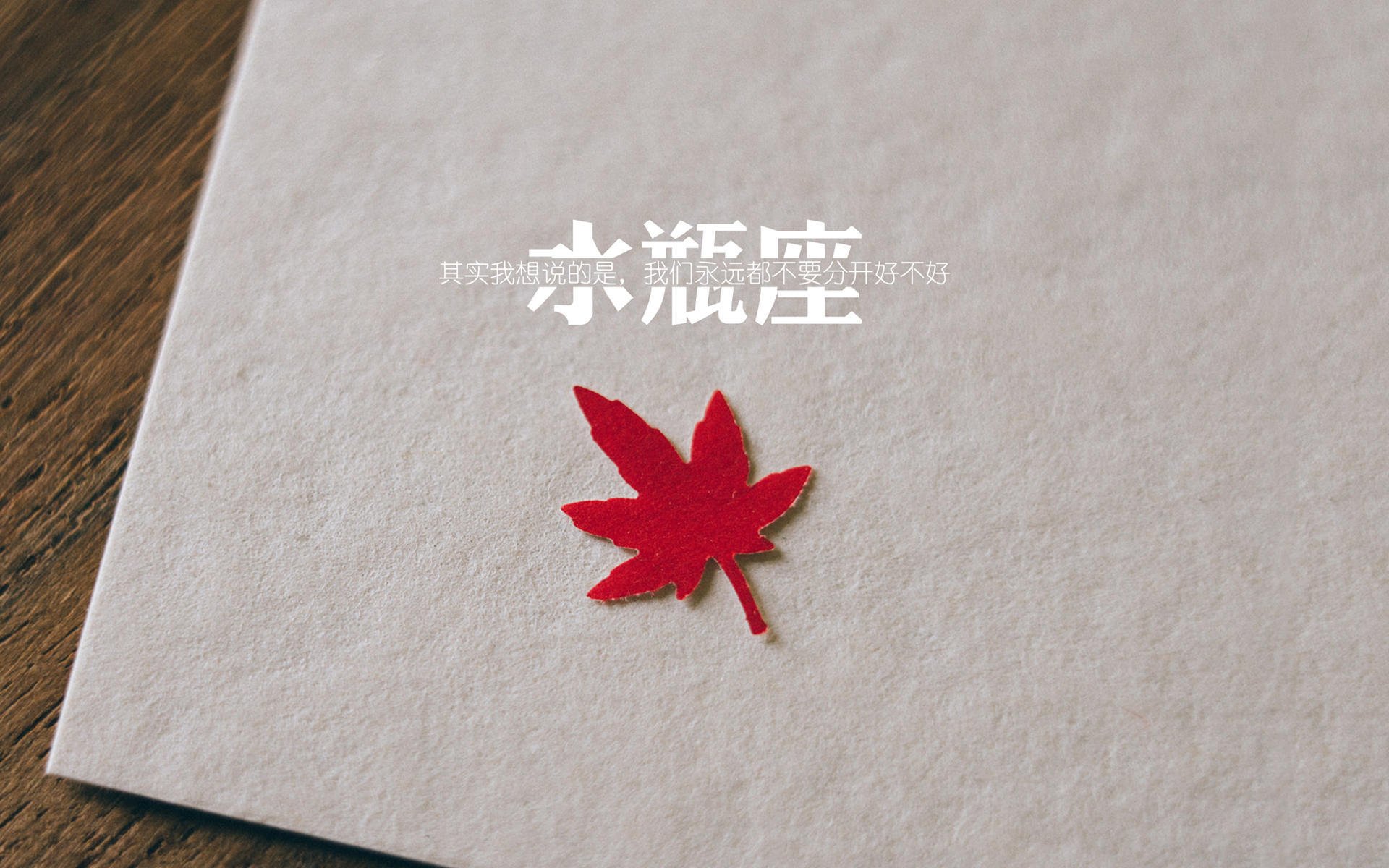 埃及乒乓赛制解析：国内赛事与世界级大赛的衔接，埃及乒乓球发展状况