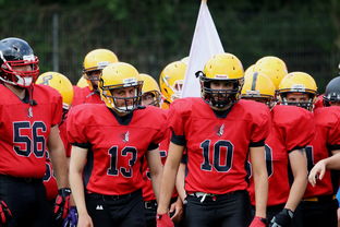 kaiyun开云·官方网站-球员伤病防护不足，球员伤病对球员的影响